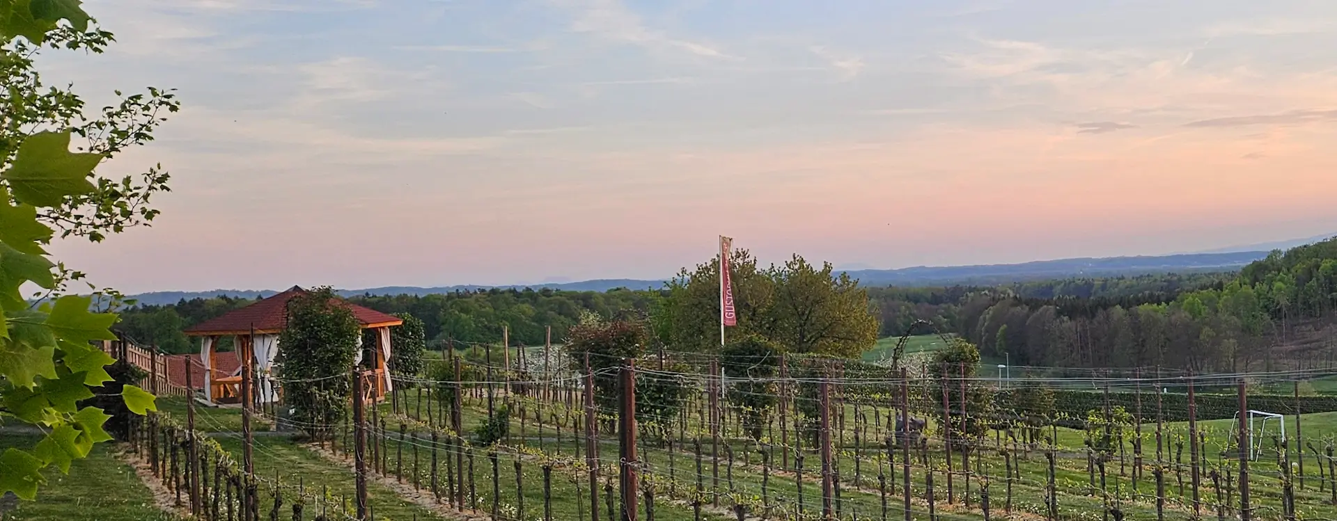 Ausblick auf Weingarten in Klöch